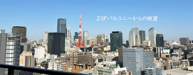 昼の東京タワービュー