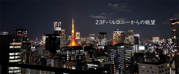 夜の東京タワービュー